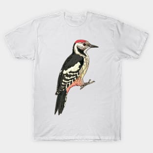 Middle spotted Woodpecker T-Shirt